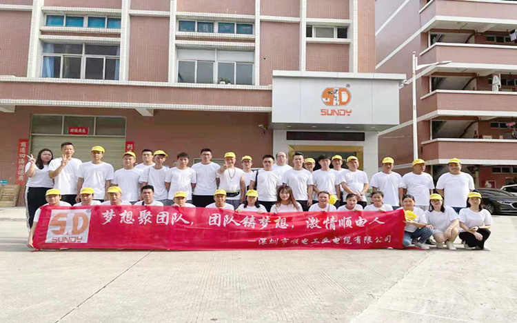 “夢(mèng)想聚團(tuán)隊(duì)，團(tuán)隊(duì)鑄夢(mèng)想”順電2021年旅游圓滿(mǎn)結(jié)束